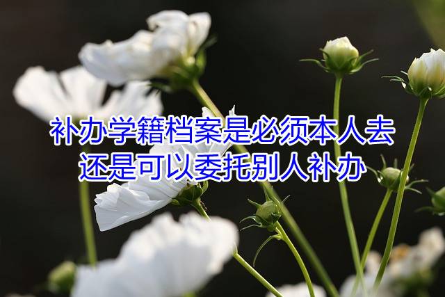 补办学籍档案是必须本人去还是可以委托别人补办