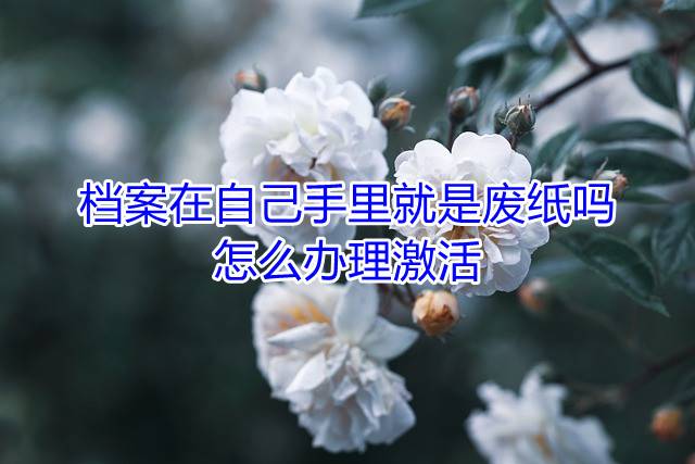 档案在自己手里就是废纸吗，怎么办理激活