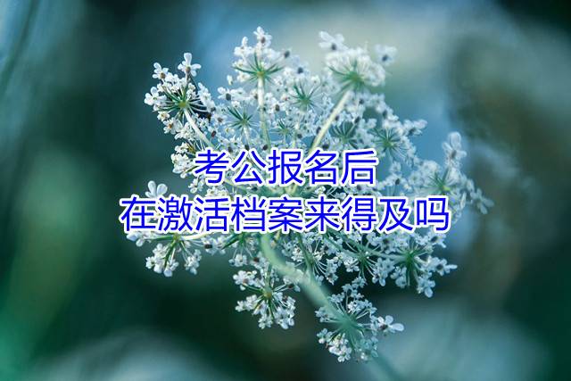 考公报名后，在激活档案来得及吗
