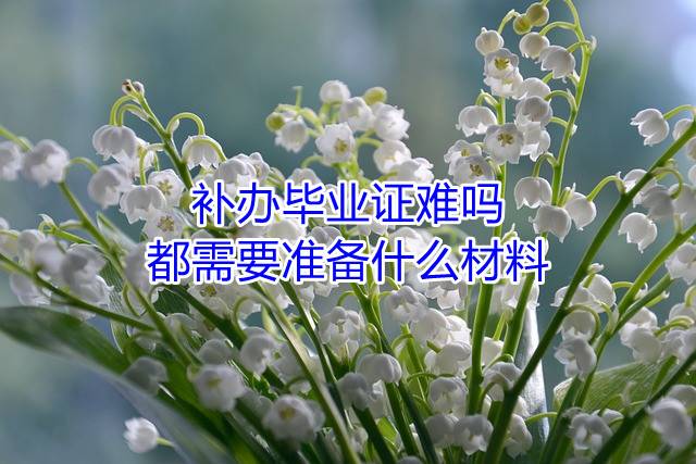 补办毕业证难吗，都需要准备什么材料