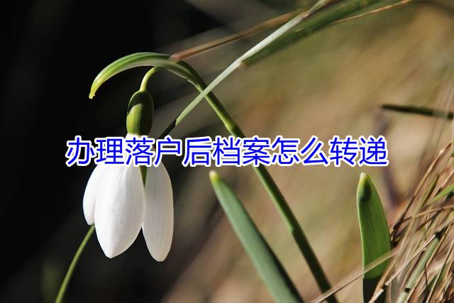 办理落户后档案怎么转递