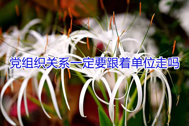 党组织关系一定要跟着单位走吗