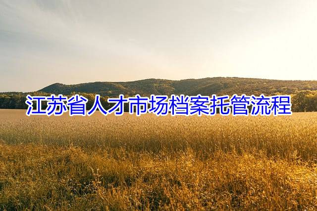 江苏省人才市场档案托管流程