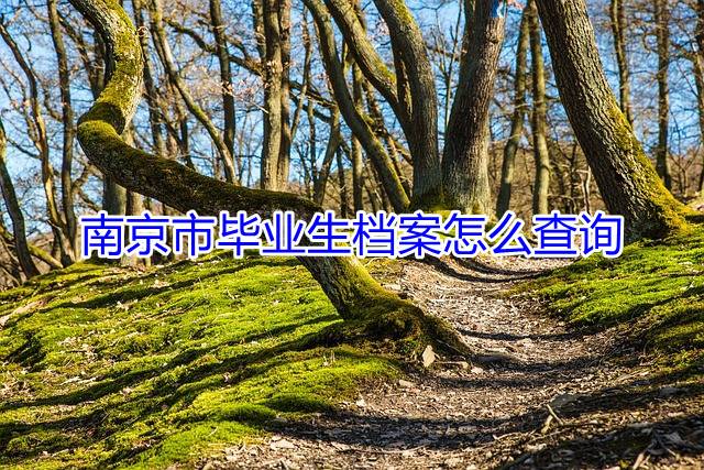 南京市毕业生档案怎么查询