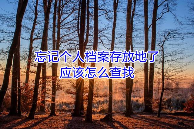 忘记个人档案存放地了应该怎么查找