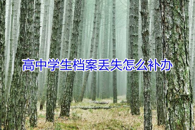 高中学生档案丢失怎么补办