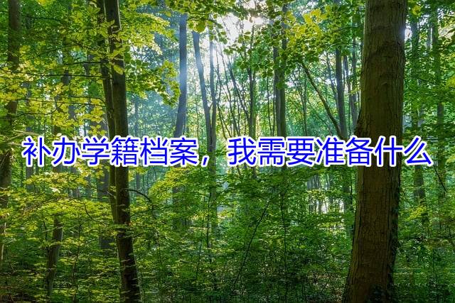 补办学籍档案，我需要准备什么