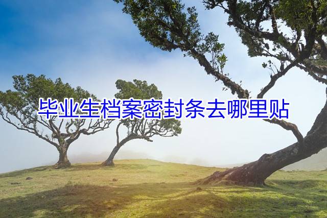 毕业生档案密封条去哪里贴