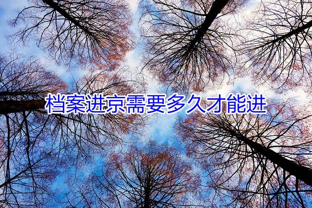 档案进京需要多久才能进