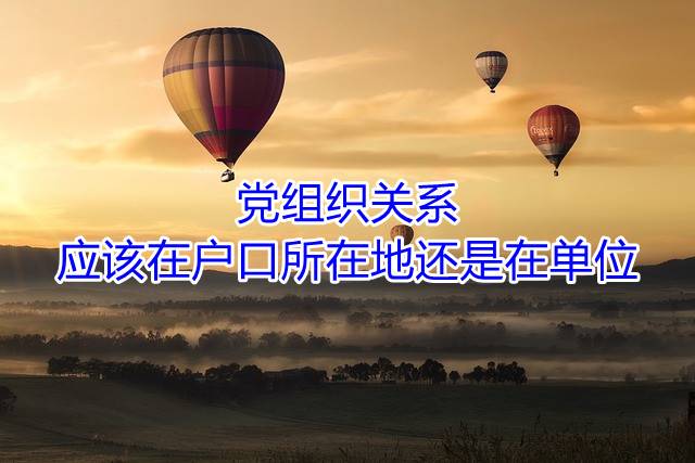 党组织关系应该在户口所在地还是在单位