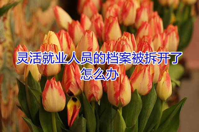 灵活就业人员的档案被拆开了怎么办