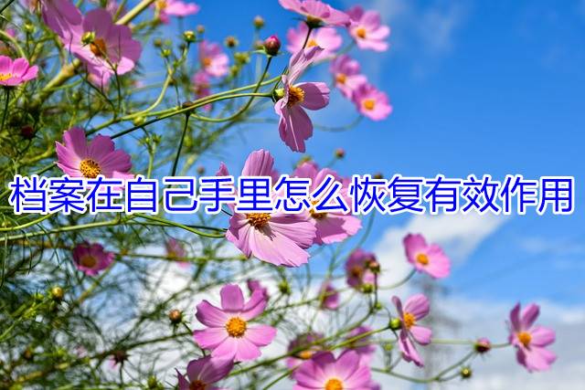 档案在自己手里怎么恢复有效作用