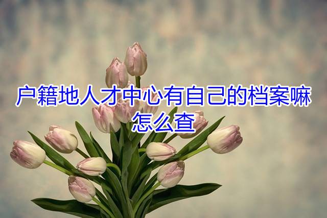 户籍地人才中心有自己的档案嘛，怎么查