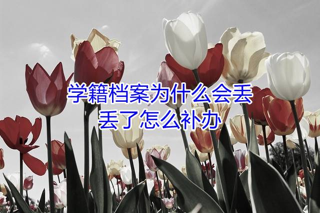 学籍档案为什么会丢，丢了怎么补办