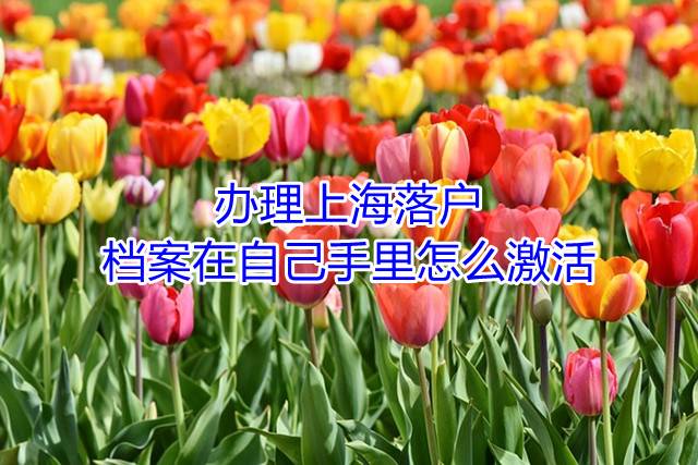 办理上海落户，档案在自己手里怎么激活