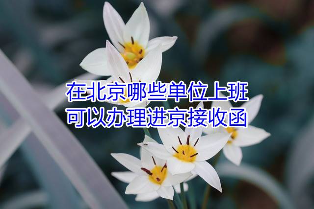 在北京哪些单位上班可以办理进京接收函