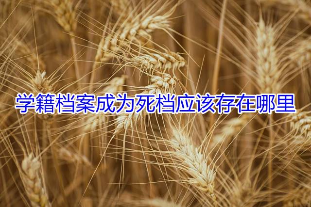 学籍档案成为死档应该存在哪里