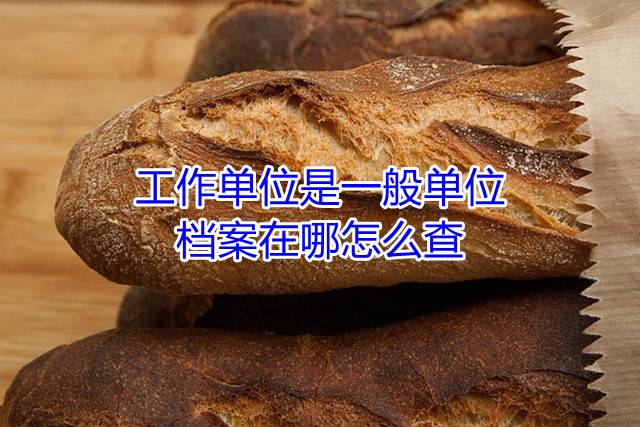 工作单位是一般单位，档案在哪怎么查