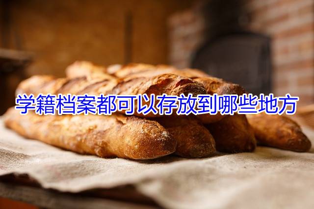学籍档案都可以存放到哪些地方