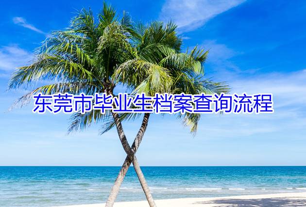 东莞市毕业生档案查询流程
