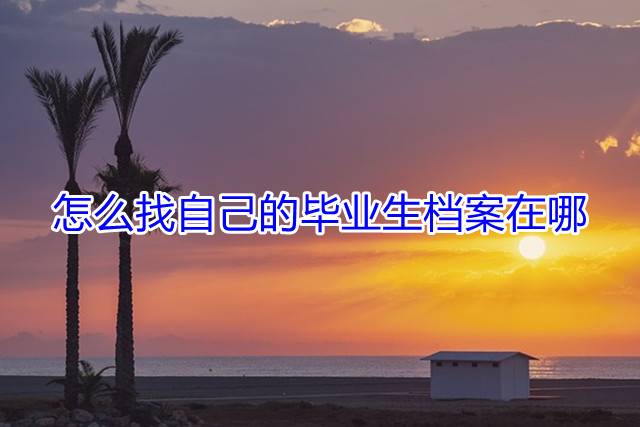 怎么找自己的毕业生档案在哪