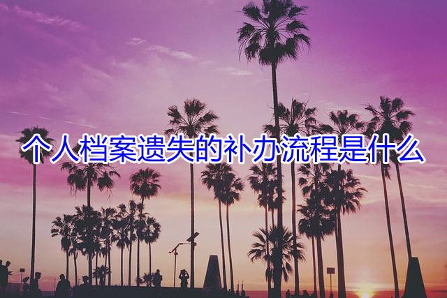 个人档案遗失的补办流程是什么