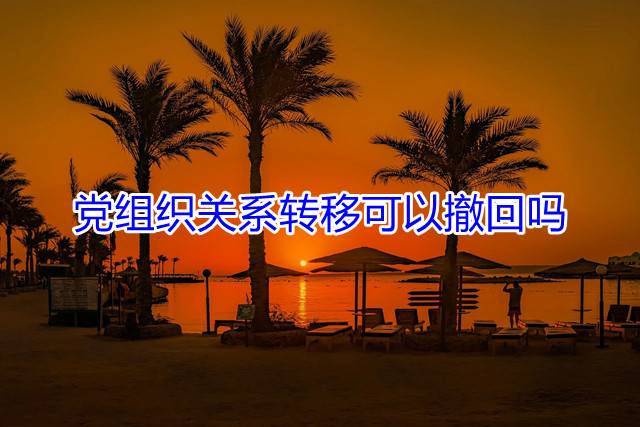 党组织关系转移可以撤回吗