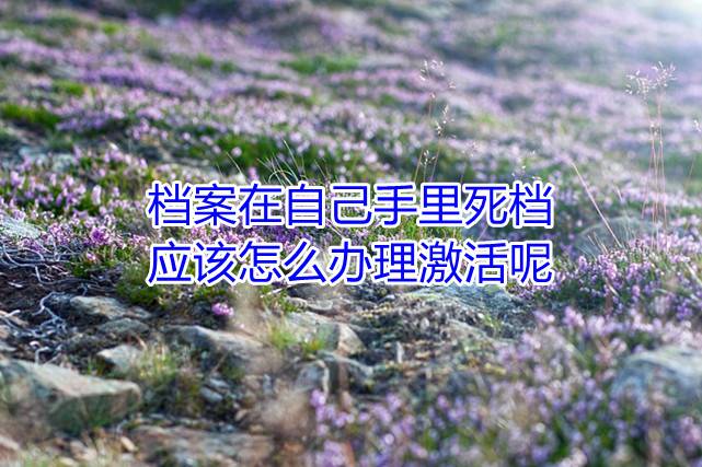 档案在自己手里死档，应该怎么办理激活呢