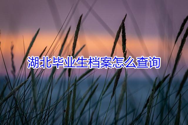 湖北毕业生档案怎么查询