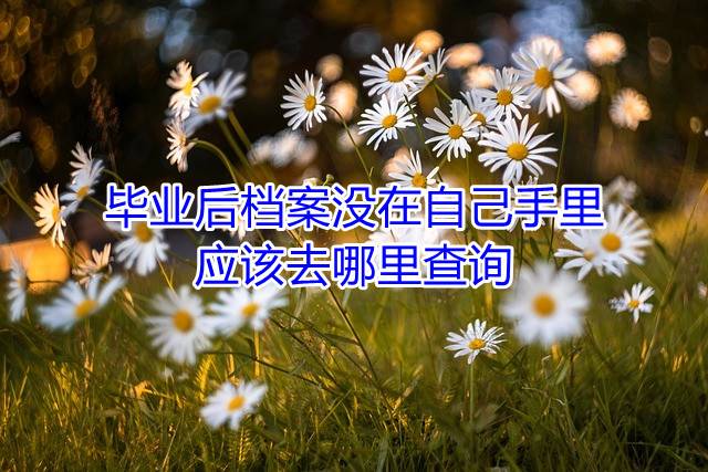 毕业后档案没在自己手里应该去哪里查询