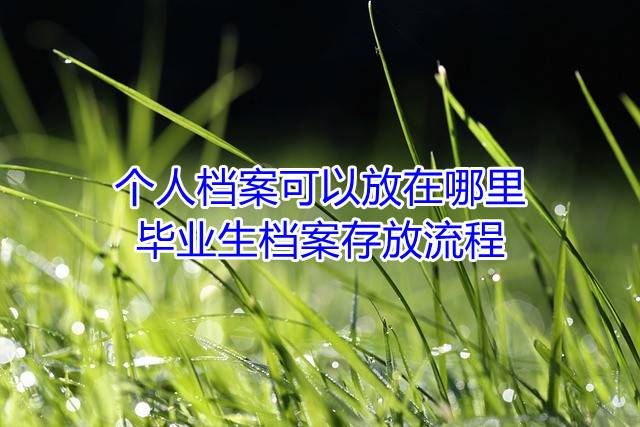 个人档案可以放在哪里，毕业生档案存放流程
