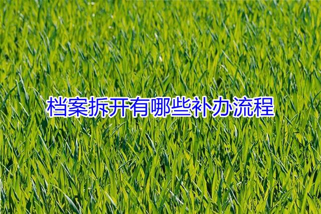 档案拆开有哪些补办流程