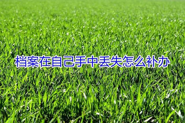 档案在自己手中丢失怎么补办
