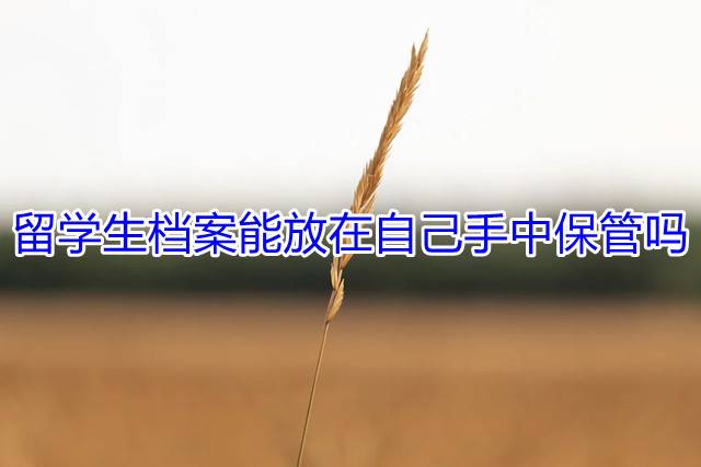 留学生档案能放在自己手中保管吗