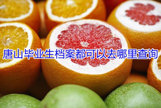 唐山毕业生档案都可以去哪里查询