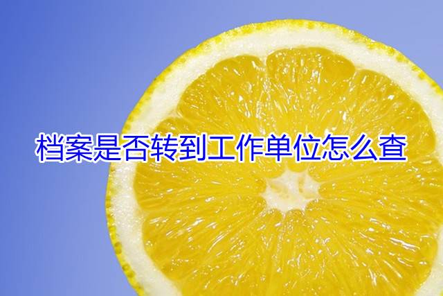 档案是否转到工作单位怎么查
