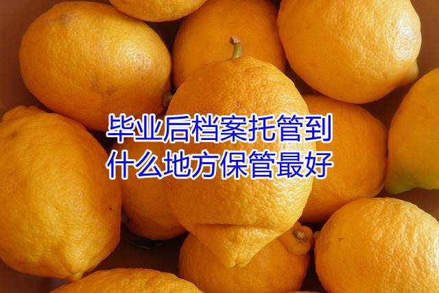 毕业后档案托管到什么地方保管最好