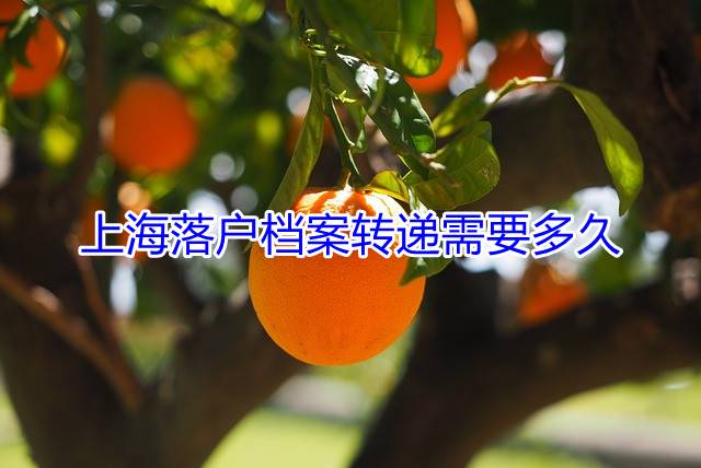 上海落户档案转递需要多久