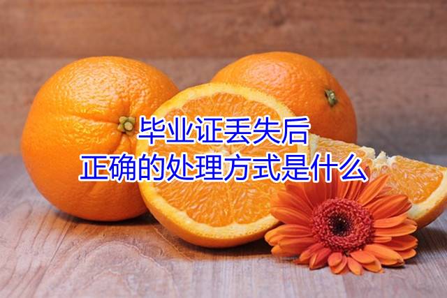 毕业证丢失后正确的处理方式是什么