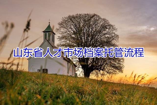 山东省人才市场档案托管流程