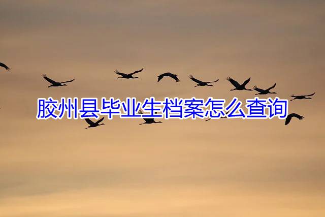 胶州县毕业生档案怎么查询
