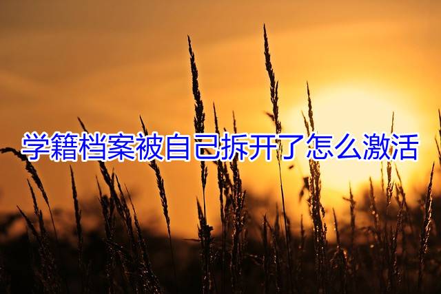 学籍档案被自己拆开了怎么激活