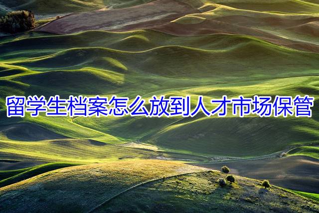 留学生档案怎么放到人才市场保管