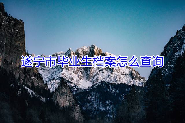 遂宁市毕业生档案怎么查询