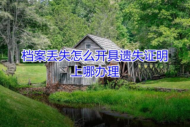 档案丢失怎么开具遗失证明，上哪办理