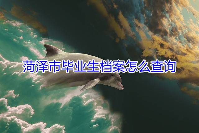 菏泽市毕业生档案怎么查询