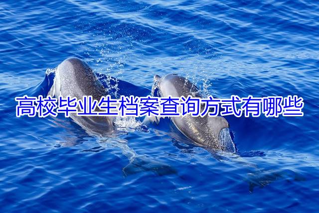 高校毕业生档案查询方式有哪些