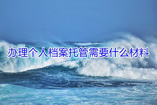 办理个人档案托管需要什么材料