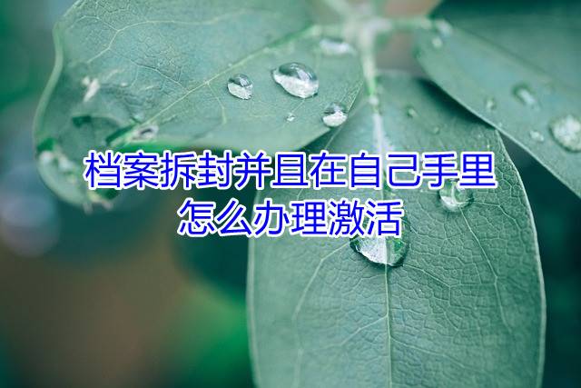 档案拆封并且在自己手里怎么办理激活