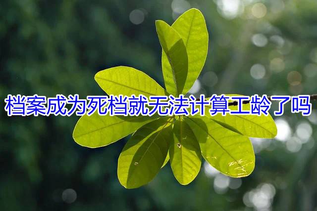 档案成为死档就无法计算工龄了吗